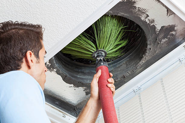 Best Professional Duct Cleaning Services  in Rogers City, MI